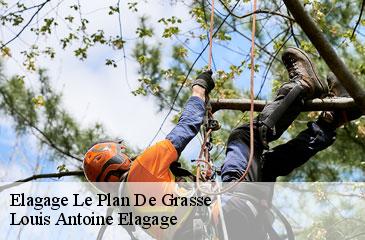 Elagage  le-plan-de-grasse-06130 Louis Antoine Elagage