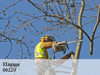 Elagage  06220