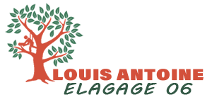 elagage-louis-antoine-elagage